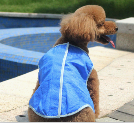 Mesh Air  Breathable No Pull Pet Dog Harnesses Vest