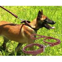 Leashes Collar & Leash Type and Dogs Application braided leather dog collars and leashes